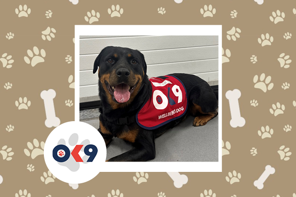 OK9 Dog Bonnie - Cheshire FRS