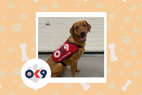 OK9 dog Frank Cheshire FRS