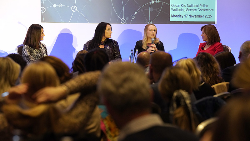 Panel session at 2025 OK conference