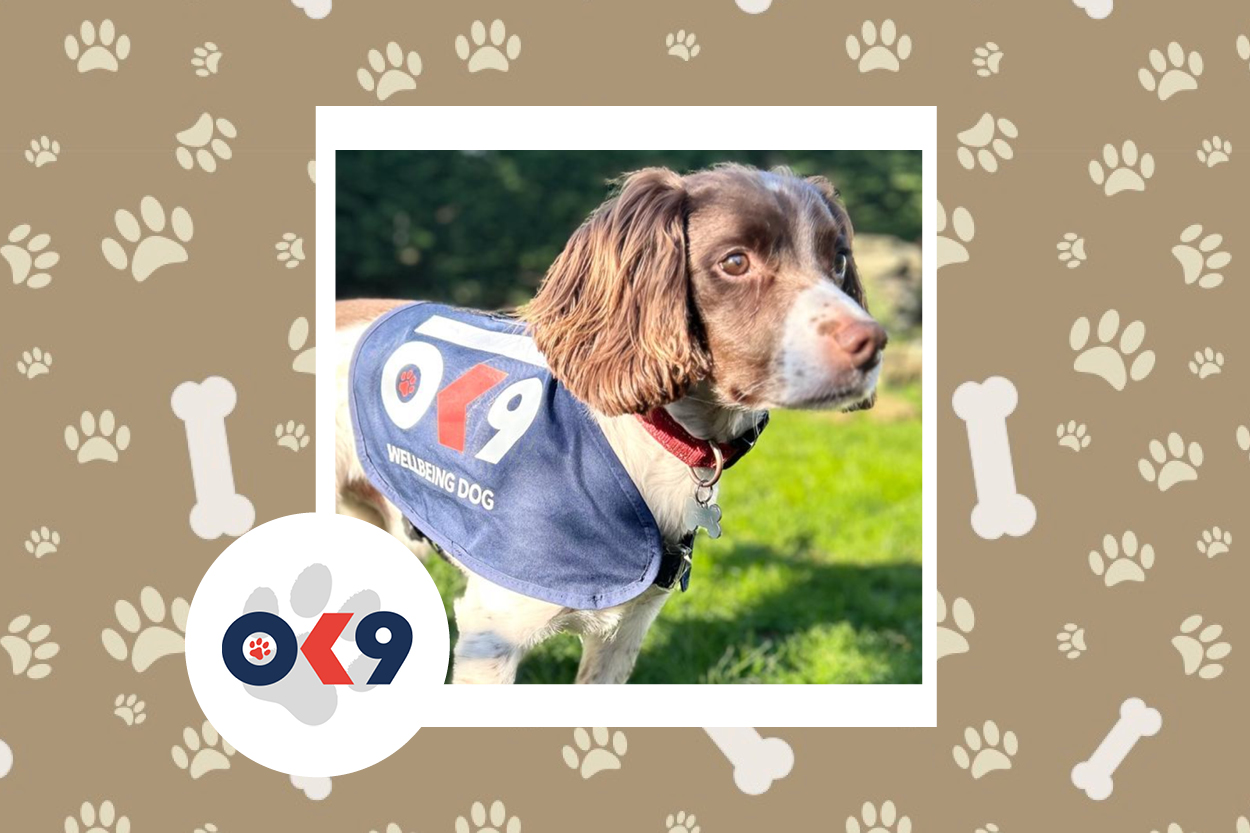 OK9 Dog Gunner West Mercia