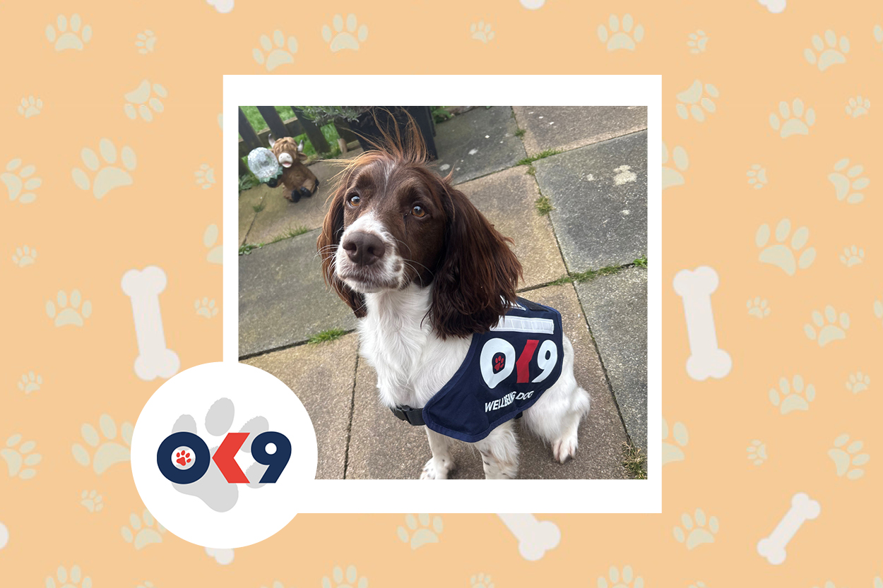 OK9 Dog Snoopy Northants