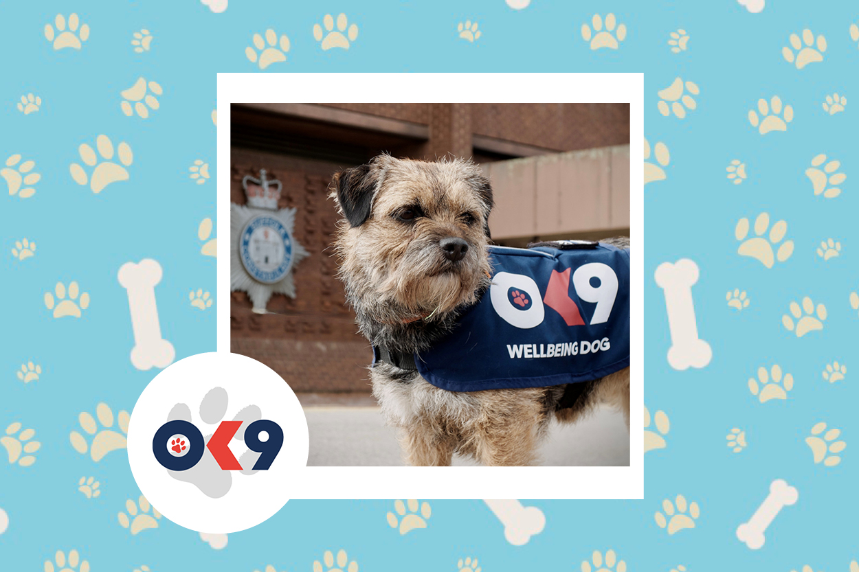 OK9 dog Peggy Suffolk